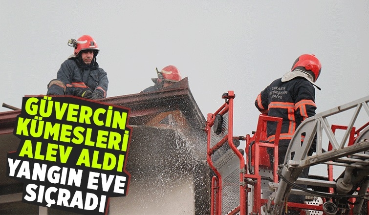 Güvercin kümeslerinde çıkan yangın eve de sıçradı