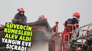 Güvercin kümeslerinde çıkan yangın eve de sıçradı