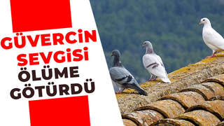 Güvercini almak isterken çatıdan düşüp öldü