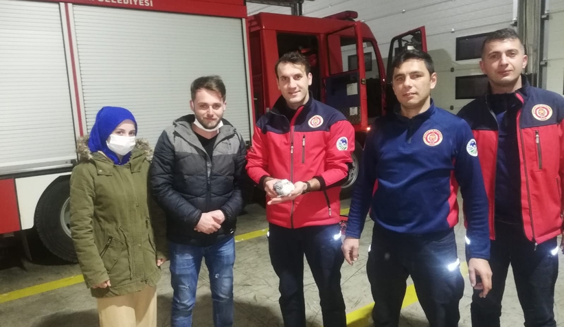 Güvercini için itfaiyeden yardım istedi