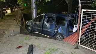 Hafif ticari araç ağaca çarptı: 1 yaralı
