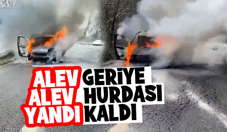 Hafif ticari araç alev alev yandı