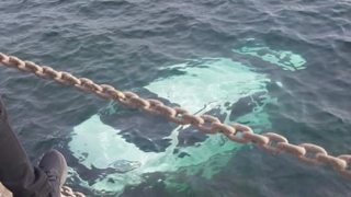 Hafif ticari araç denize uçtu, sürücüyü balıkçılar kurtardı