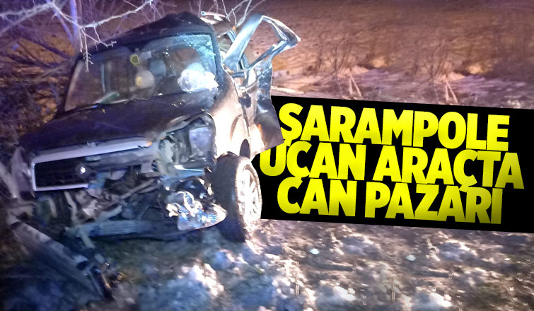 Hafif ticari araç şarampole uçtu