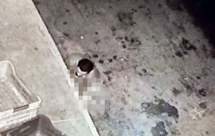 Halde mide bulandıran görüntüler