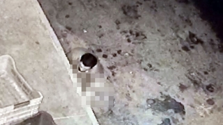 Halde mide bulandıran görüntüler