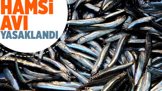 Hamsi avına yasak geldi