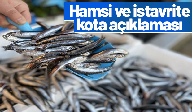 Hamsi ve istavrite kota mı gelecek!