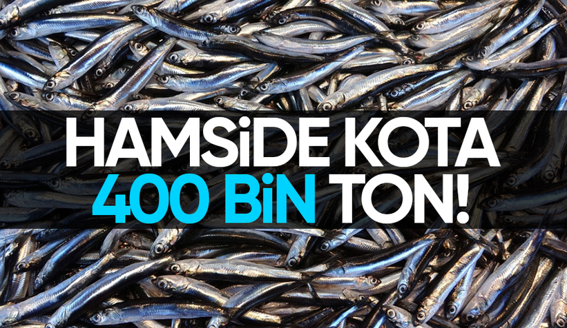 Hamside kota belli oldu