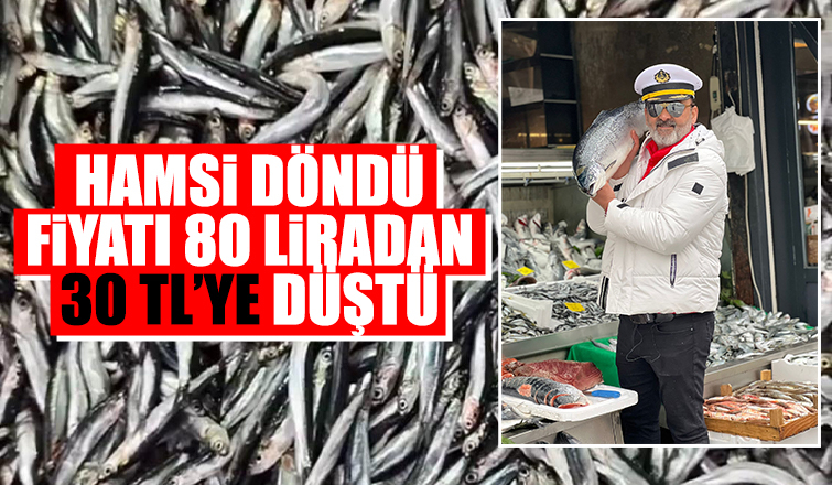  Hamsinin muhteşem dönüşü