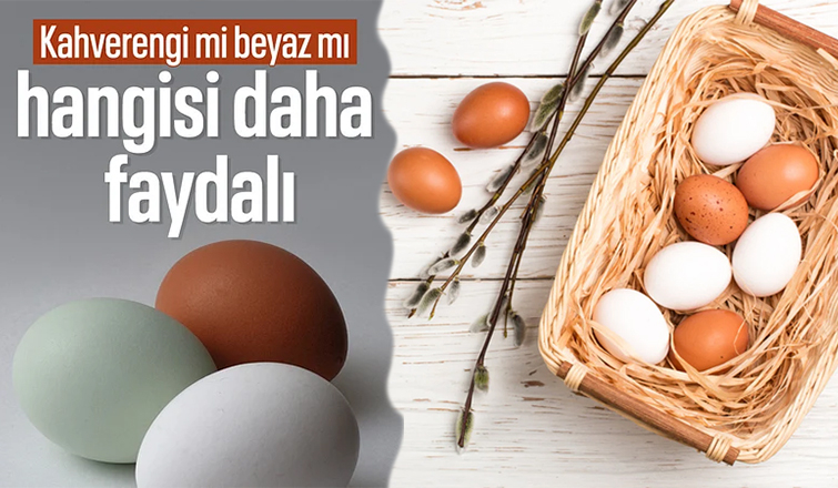 Hangisi daha faydalı: Beyaz mı yoksa kahverengi yumurta mı?
