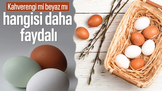 Hangisi daha faydalı: Beyaz mı yoksa kahverengi yumurta mı?