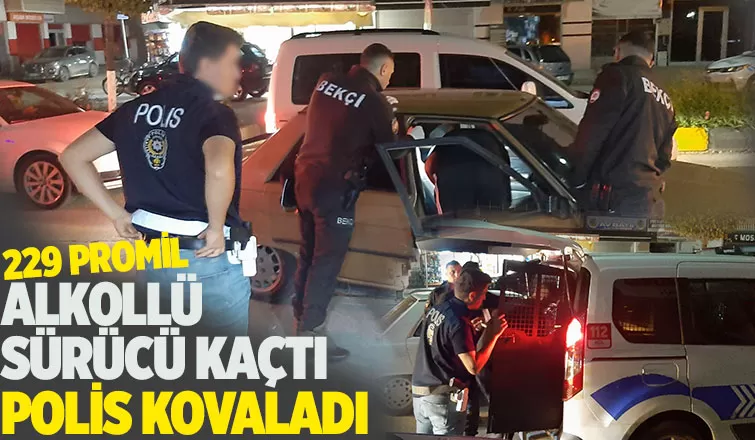 Hareketli Gece 