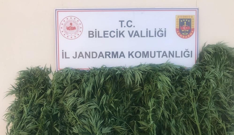 Hasadı jandarma yaptı