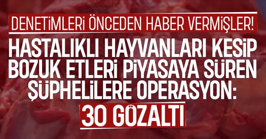 Hastalıklı hayvanları kesip bozuk etleri yedirmişler: 30 gözaltı