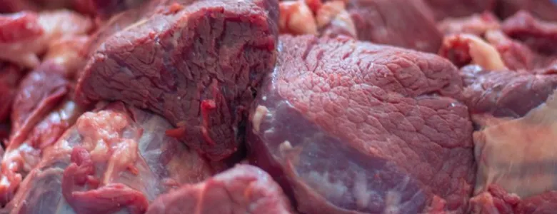 Hastalıklı hayvanları kesip bozuk etleri yedirmişler: 30 gözaltı