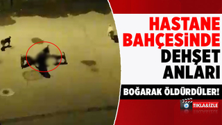 Hastane bahçesinde kediyi boğarak öldürdüler