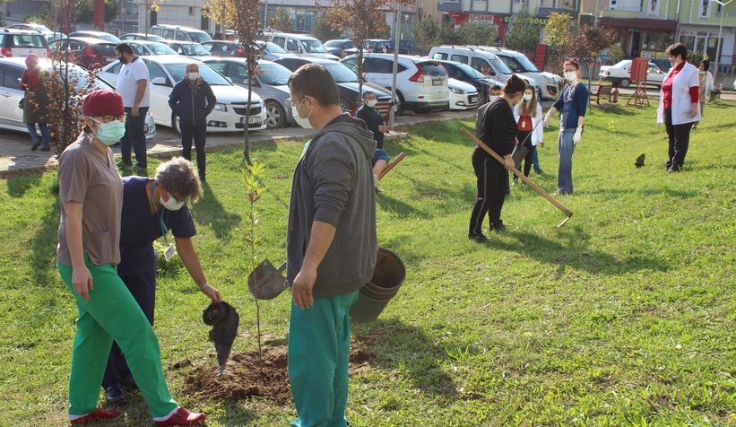 Hastane bahçesine fidan diktiler