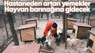 Hastane gıda fazlalıkları hayvan barınağına