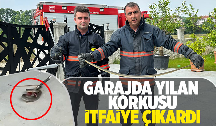 Havalar Isındı yılanlara Dikkat 