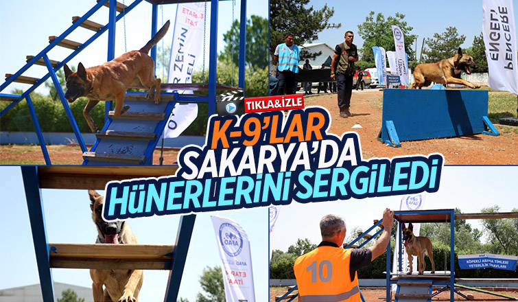 Hayat kurtaran altın burunların zorlu sınavı