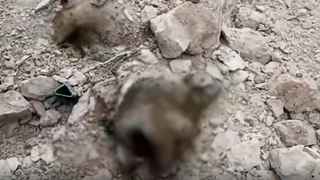 HAYTAP suç duyurusunda bulundu