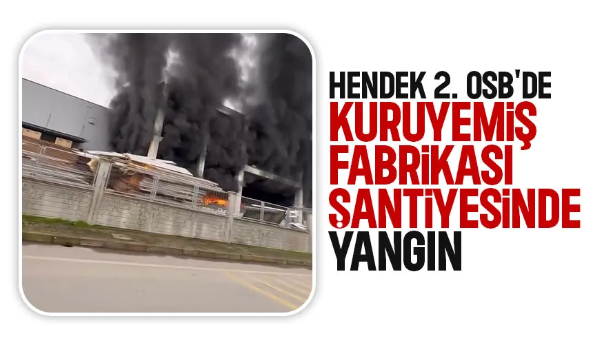 Hendek 2. OSB'de yangın