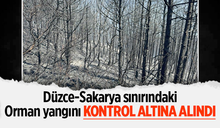 Hendek'deki yangın kontrol altında