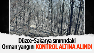 Hendek'deki yangın kontrol altında