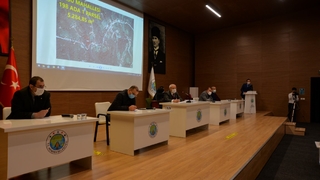 Hendek'te 7 taşınmazdan 5'i satıldı