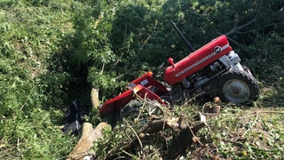 Hendek'te feci ölüm