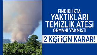 Hendek'te ki orman yangınıyla ilgili 2 kişi adli kontrolle serbest