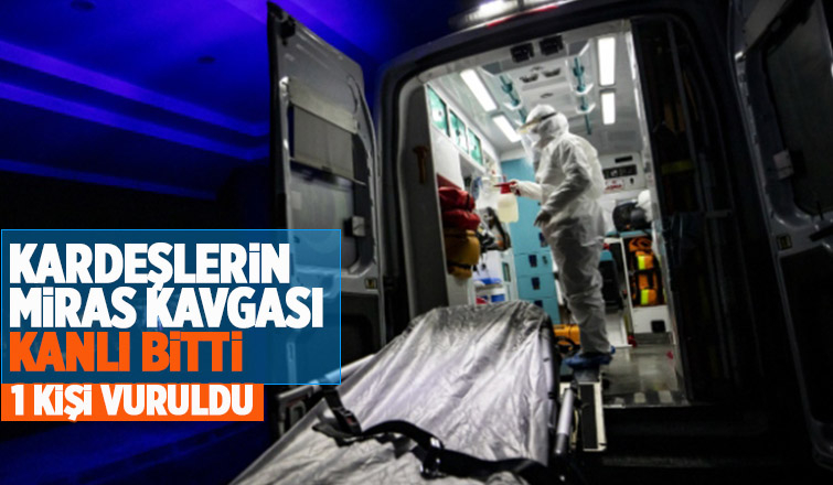 Hendek'te miras kavgasında 1 kişi vuruldu