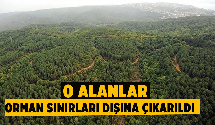 Hendek'te o alanlar artık orman alanı değil!