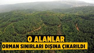 Hendek'te o alanlar artık orman alanı değil!