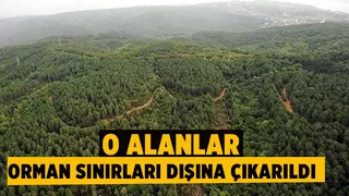 Hendek'te o alanlar artık orman alanı değil!