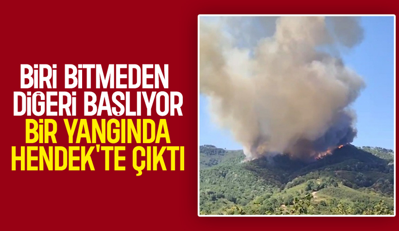 Hendek'te orman yangını çıktı