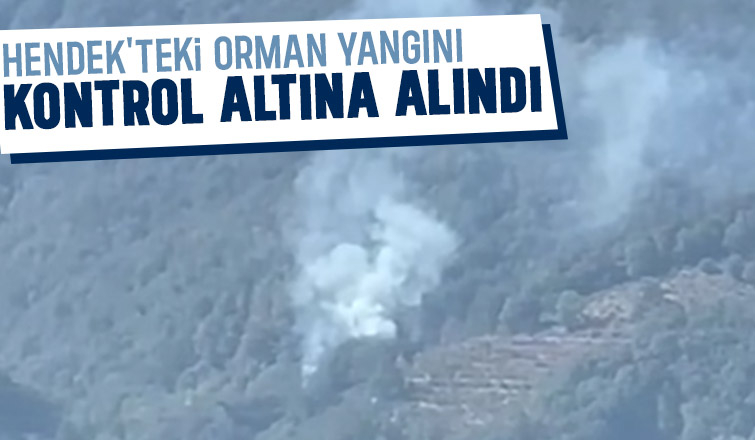 Hendek'te orman yangını kontrol altında