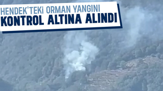 Hendek'te orman yangını kontrol altında