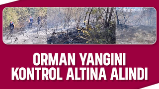 Hendek'te orman yangını söndürüldü