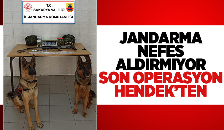 Hendek'te uyuşturucu baskını