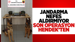 Hendek'te uyuşturucu baskını