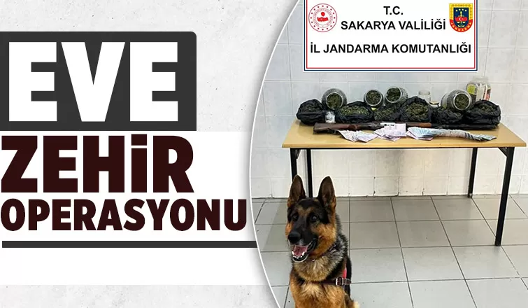 Hendek'te uyuşturucu baskını