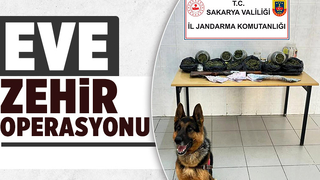 Hendek'te uyuşturucu baskını