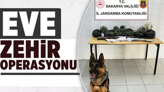 Hendek'te uyuşturucu baskını