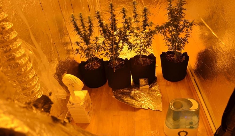 Hendek'te uyuşturucu operasyonları