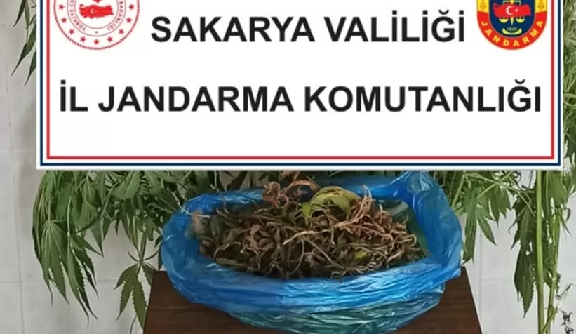 Hendek'te uyuşturucu operasyonu