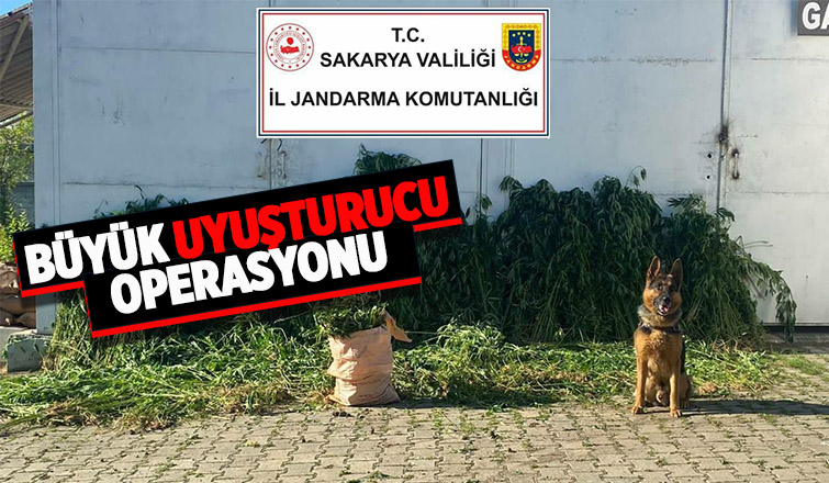 Hendek'te uyuşturucu operasyonu
