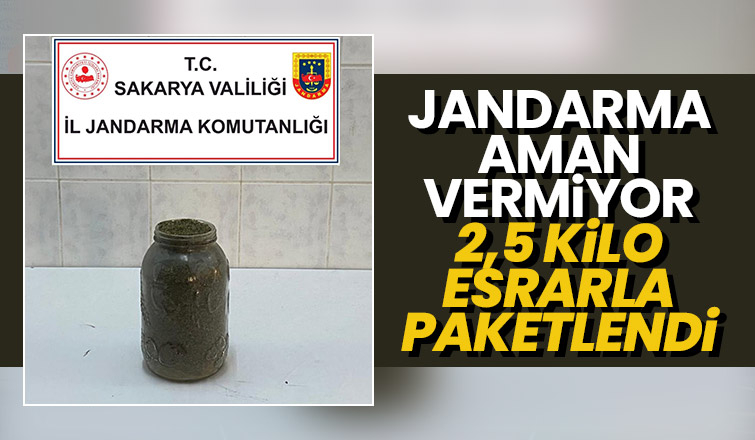 Hendek'te uyuşturucu operasyonu