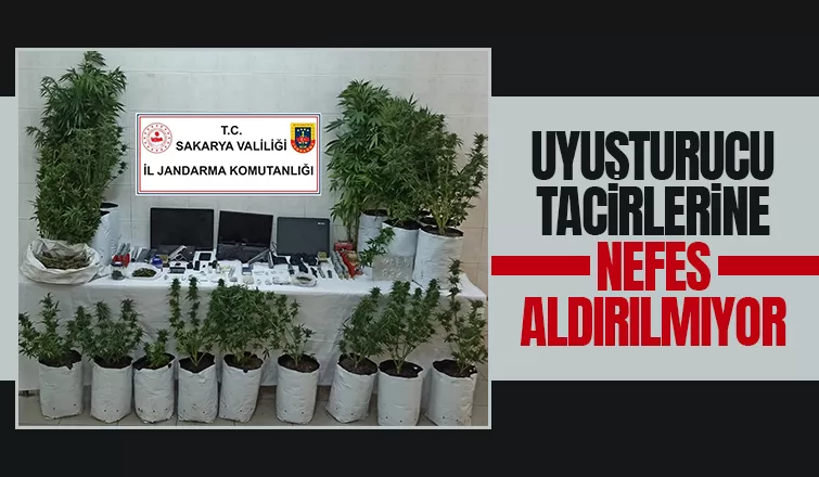 Hendek'te uyuşturucu operasyonu